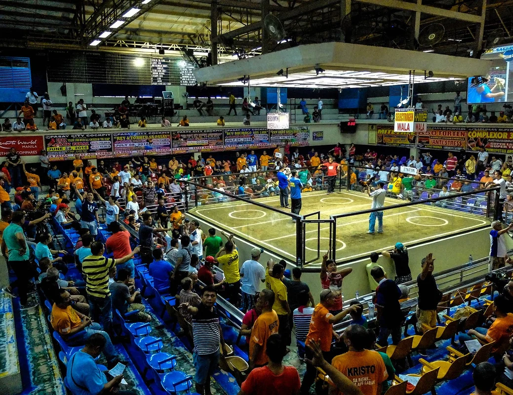 Sabong Online: The Traditional Philippine Cockfighting Derby Guide